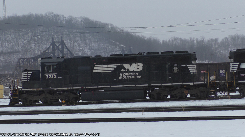 NS 3313 at Mingo